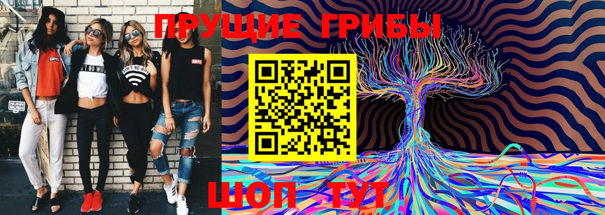 Галлюциногенные грибы мухоморы Шахты
