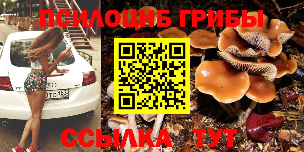 Псилоцибиновые грибы Psilocybe  Вход с VPN  Шахты 
